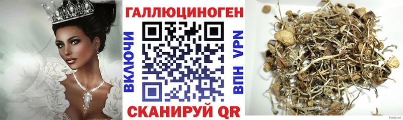 Псилоцибиновые грибы ЛСД  ссылка на мегу ссылки  Горячеводский 